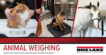 AD Animalweighing Rectangle