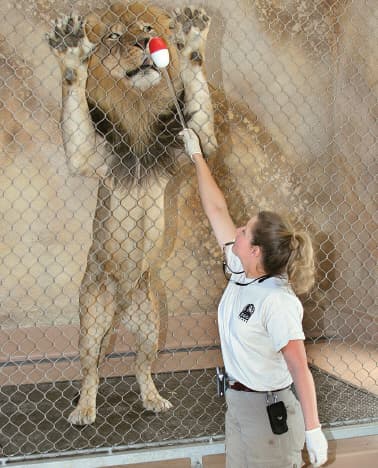 Zoo1 (1)
