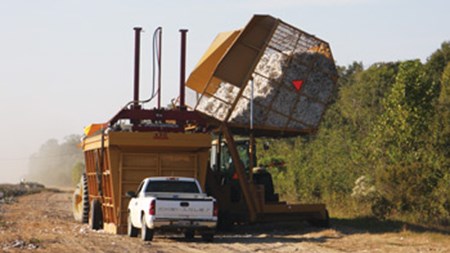 Cotton Picking2