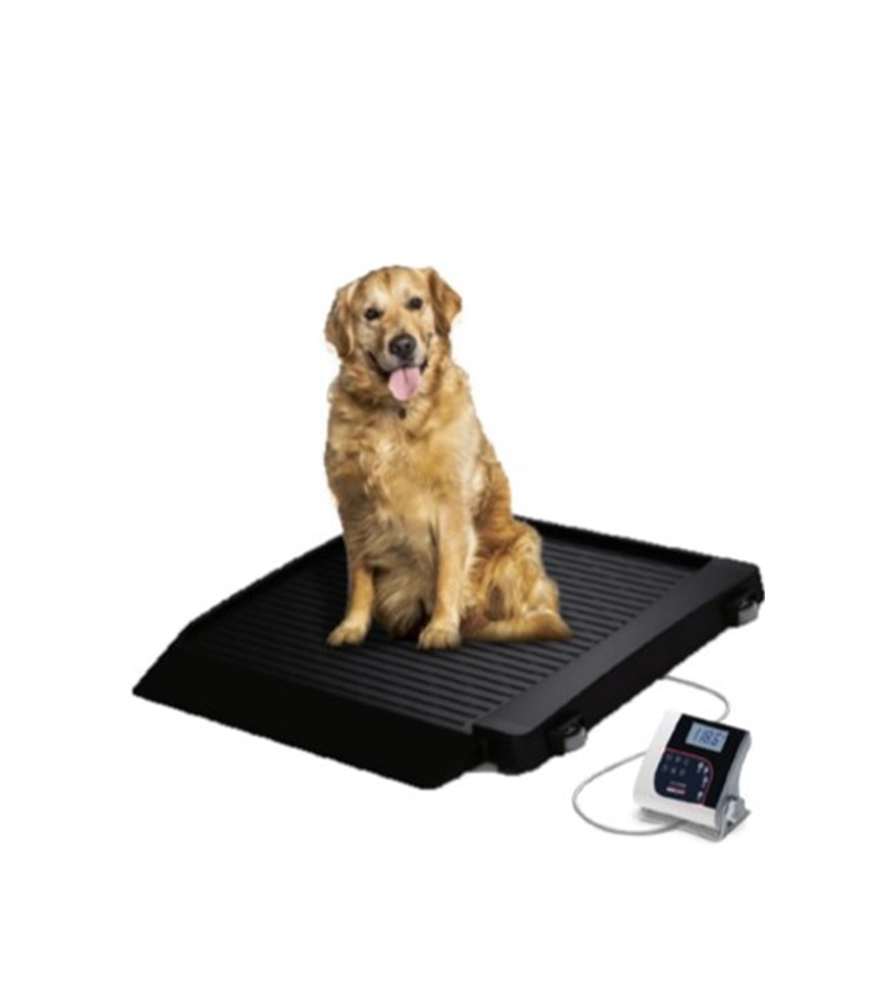 3 Reasons To Calibrate Your Vet Scale — ASC