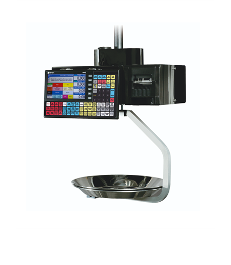 WEB SC Uni 7 Hanging