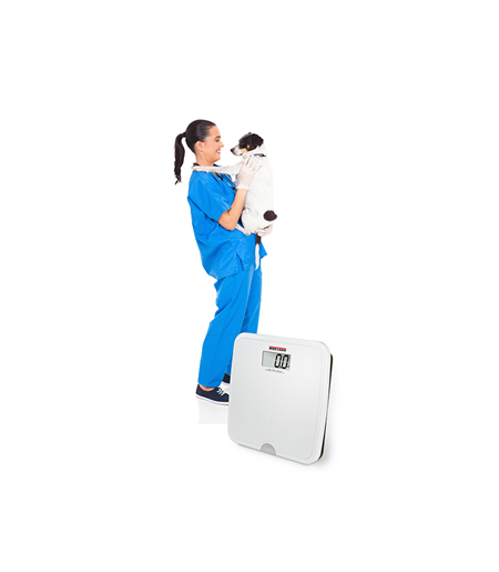 1 US D400 Womanwithdog