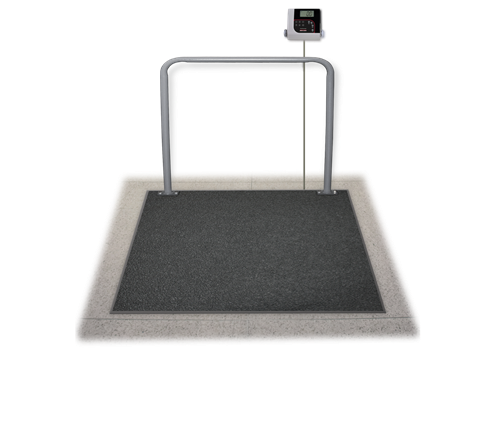 SD-1150-WP Dialysis Wheelchair Scale