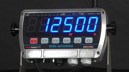 MSI-8004HD Indicator/RF Remote Display Overview preview