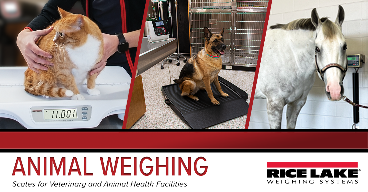 AD Animalweighing Rectangle