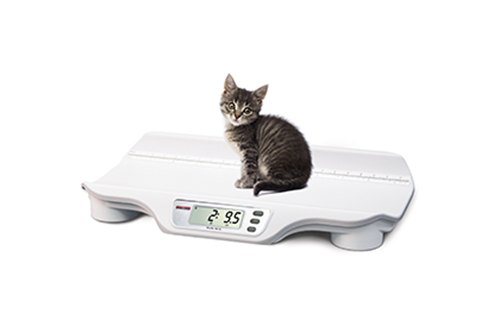 High Precision Digital Scale Weight Balance Scale Pet LCD Electronic Gram  Dogs Cats Puppy Animal Weighing Tools for Baby