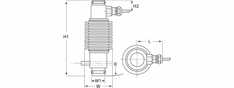 Celda de carga: Flintec SSR RC1