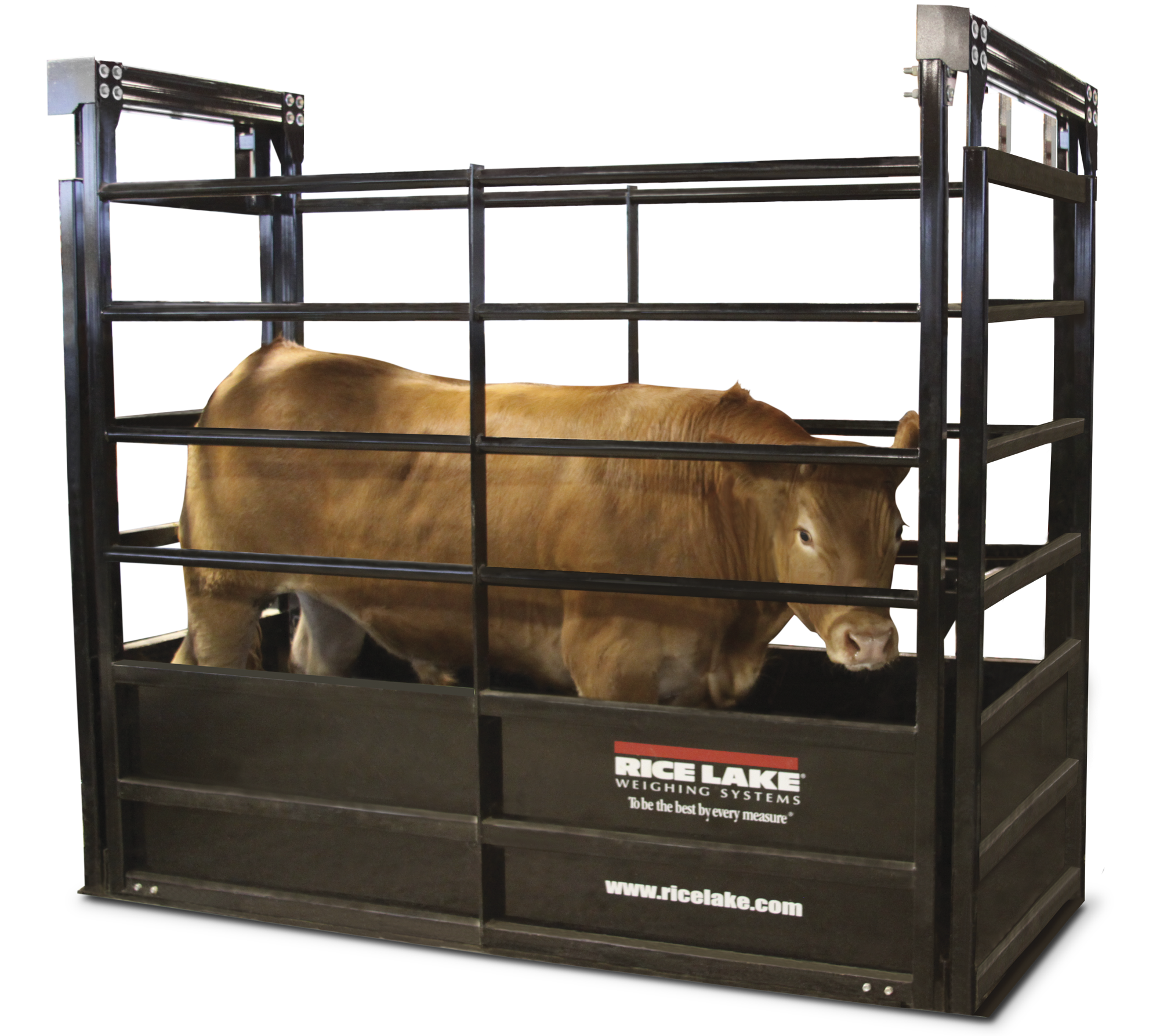 Portals 0 Products 41966Aeaced647eba3ccff35d95de604 Orig