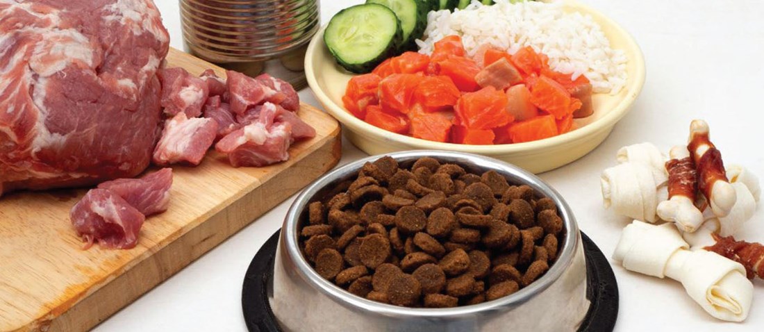 Pet Food Article