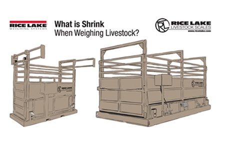 What is "Shrink" When Weighing Livestock preview