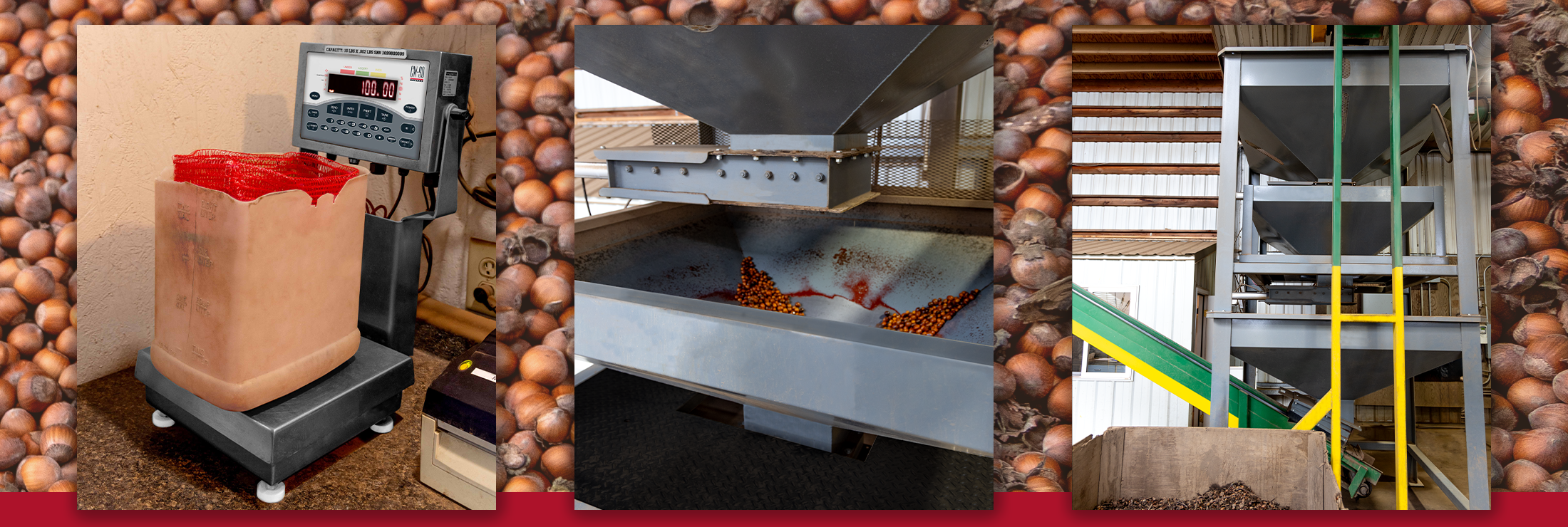 1 WEB Roughdeck HS Hopper Hazelnuts